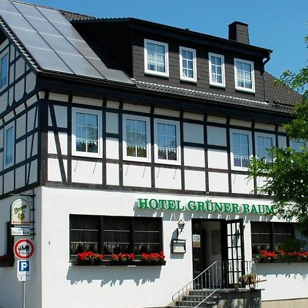 Hotel Gruener Baum Stollberg/Erzgeb. Extérieur photo